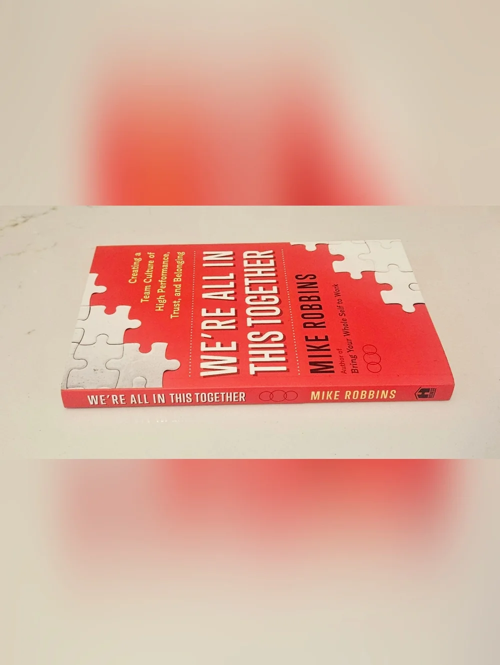 BOGO We’re All In This Together by Mike Robbins  Paperback Book